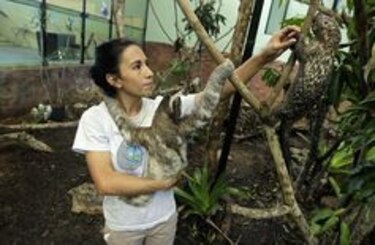 Al rescate de la fauna agreste