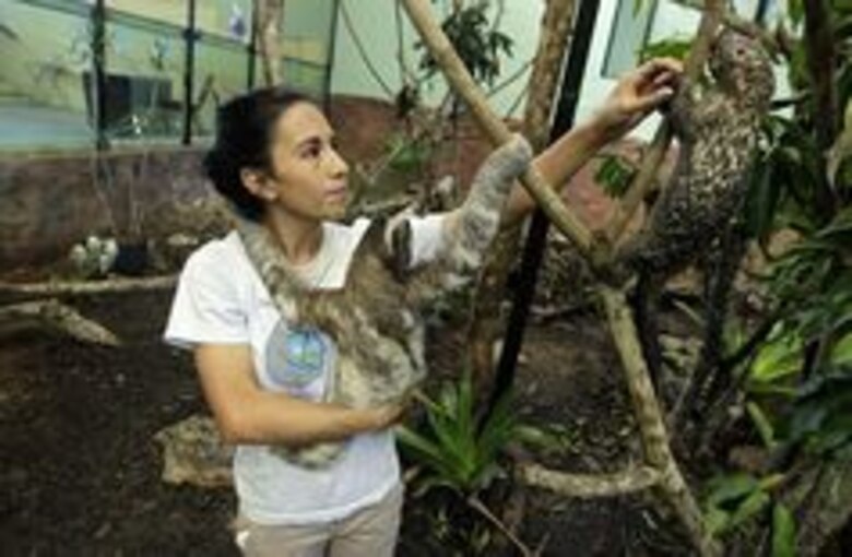 Al rescate de la fauna agreste