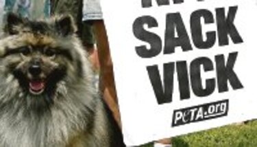 Los millones se alejan de Michael Vick