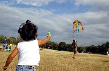 'VI Festival de Cometas Inclusivo' de Senadis se realizará en Penonomé