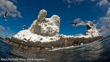 Unesco inscribe al archipiélago mexicano de Revillagigedo en lista de Patrimonio Mundial