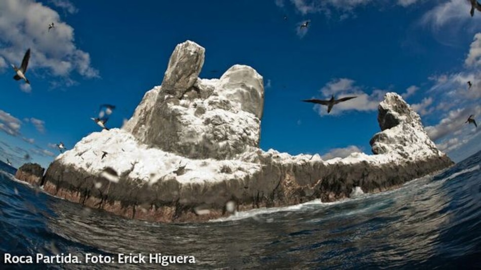 Unesco inscribe al archipiélago mexicano de Revillagigedo en lista de Patrimonio Mundial