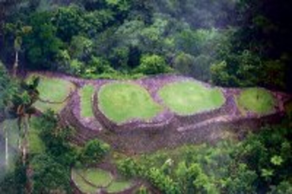 Ecoturismo por cultivos ilegales