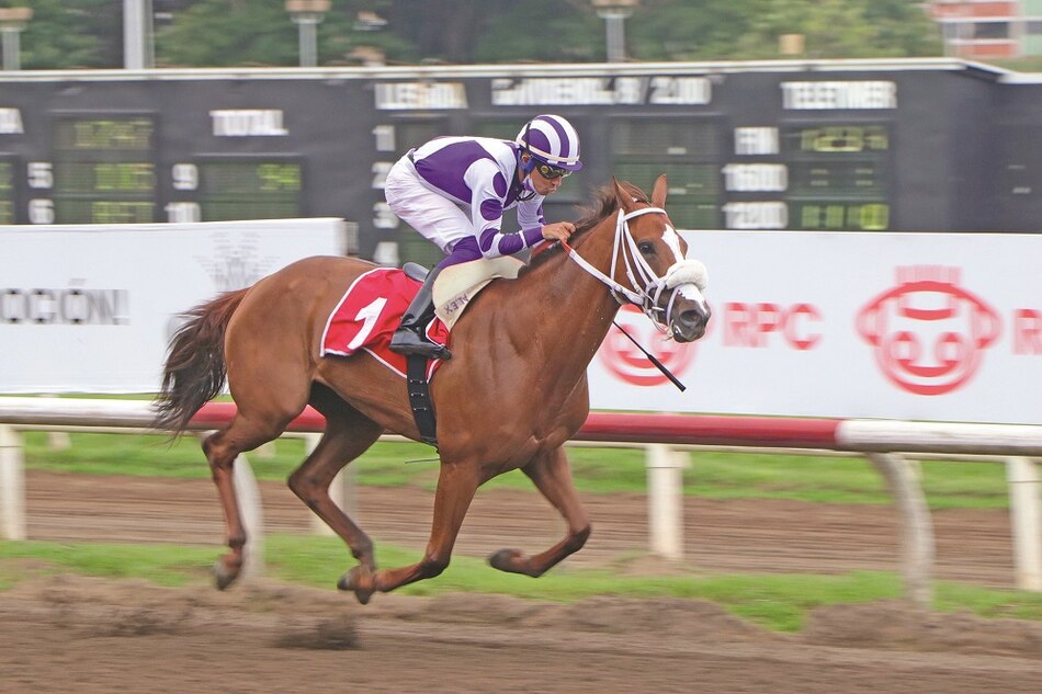 La yegua nacional ‘La Grue’ se anexó el Clásico Felipe E. Motta