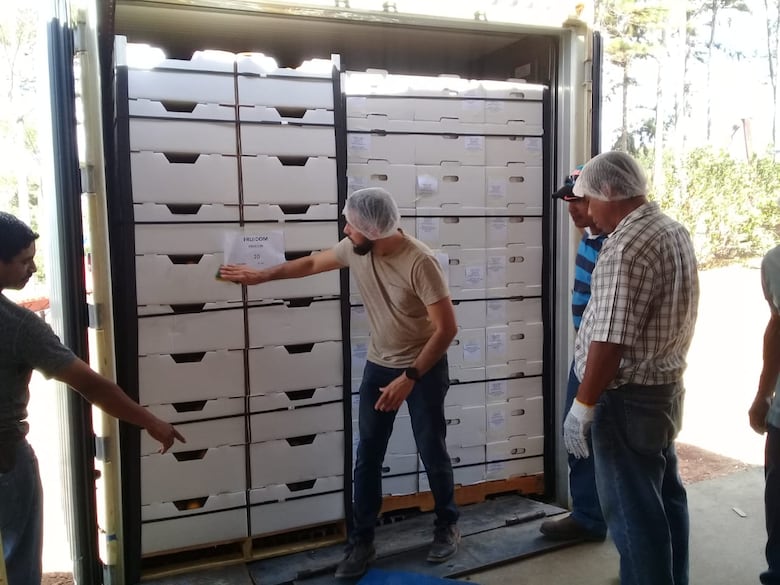 Parte primer embarque de naranja panameña al Caribe