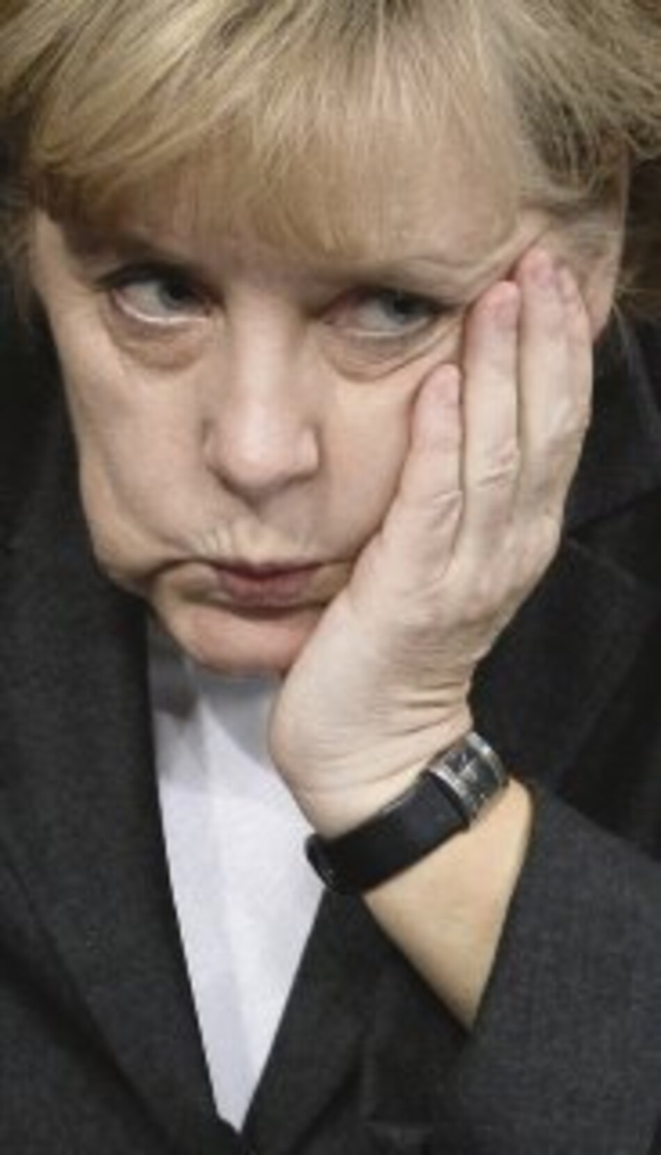 Merkel-Sauer, por dentro