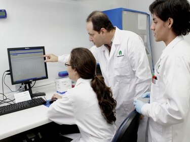 Más de 44 millones de personas sufren demencia en el mundo