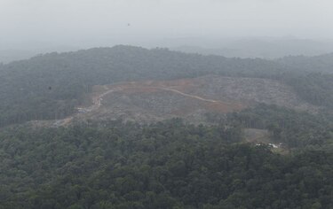 Estudios revelan verdad minera