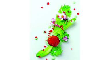 Cocina gourmet: Cocinando con pasión
