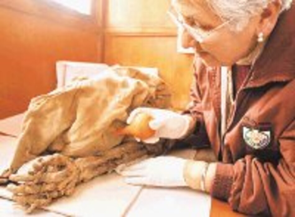 Hallan momia de la cultura wari