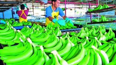 América Latina pierde competitividad