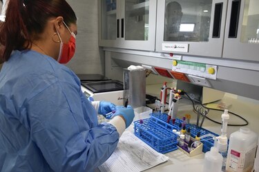 Priorizar o colapsar: Banco de Sangre de la Ciudad de la Salud sin insumos suficientes