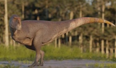 Descubren nueva especie fósil de dinosaurio ‘abelisáurido’ sin cuernos