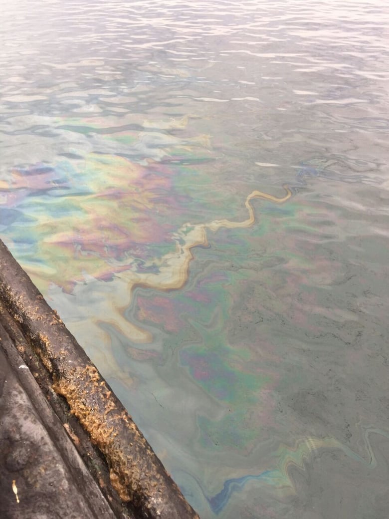 Restringen temporalmente el acceso a bañistas por derrame en Taboga