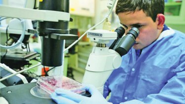 Panamá, entre los países que pueden estabilizar la transmisión del virus