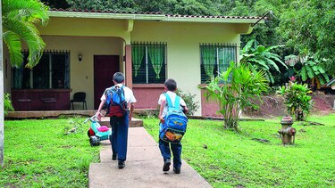 Presentan proyecto de adopciones en la Asamblea
