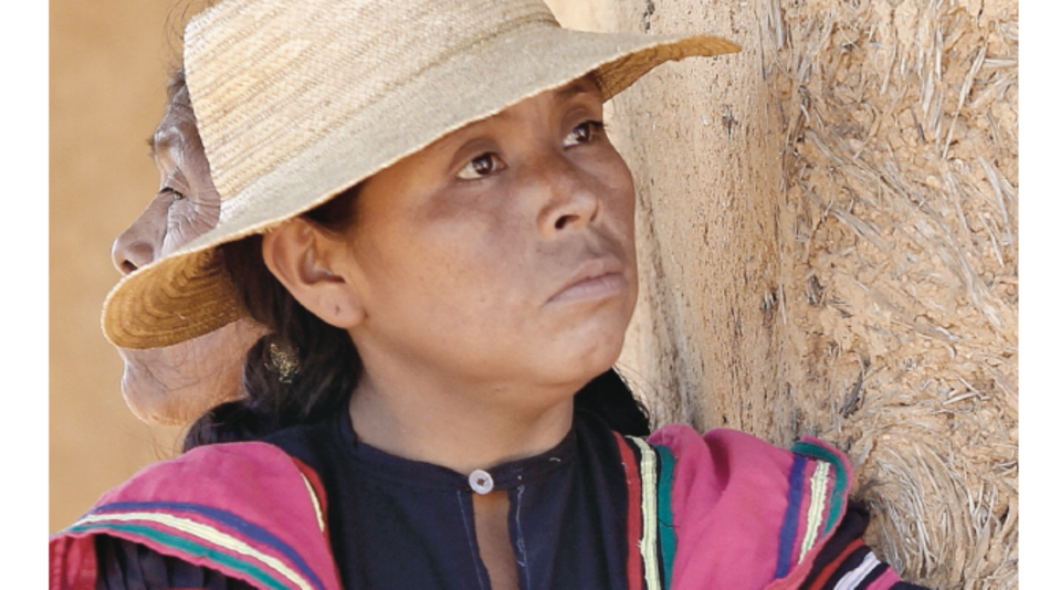 Las lenguas originarias y su lugar en la sociedad