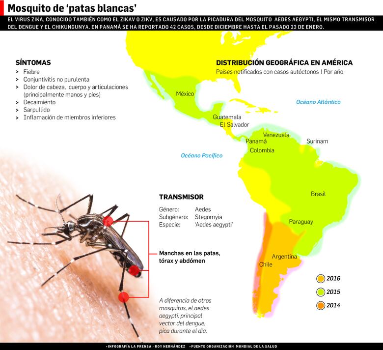Advierten que el virus zika se trasladará de Guna Yala