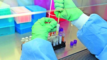 Rickettsiosis causa otras dos muertes en el país