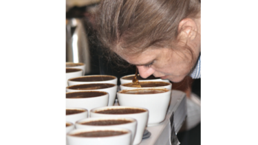 Se inicia en Boquete cata internacional de cafés especiales