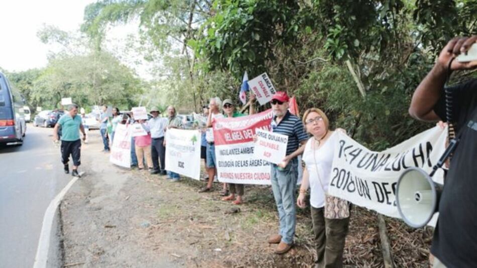 Ecologistas piden a Miambiente revocar polémicos estudios