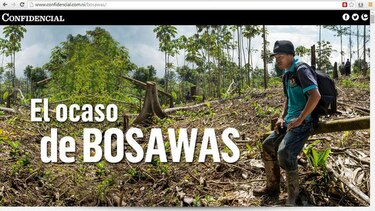 Conversatorio virtual con los ganadores del premio Roberto Eisenmann Jr al periodismo medioambiental