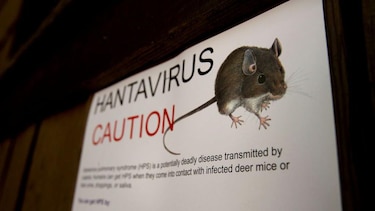 Qué es el hantavirus, la infección sospechosa de causar 3 muertes en un crucero que zarpó de Ushuaia