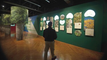 Exposición ‘Agua Salud’