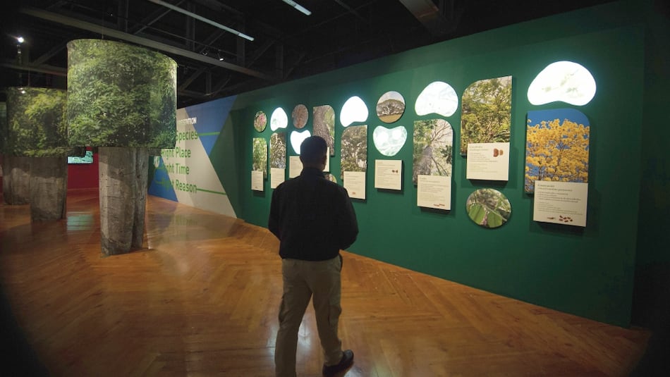 Exposición ‘Agua Salud’