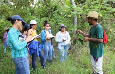 ¿Sabía que Panamá alberga plantas carnívoras únicas en el mundo?