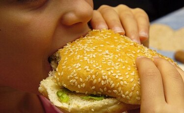 Hábitos en el hogar y obesidad