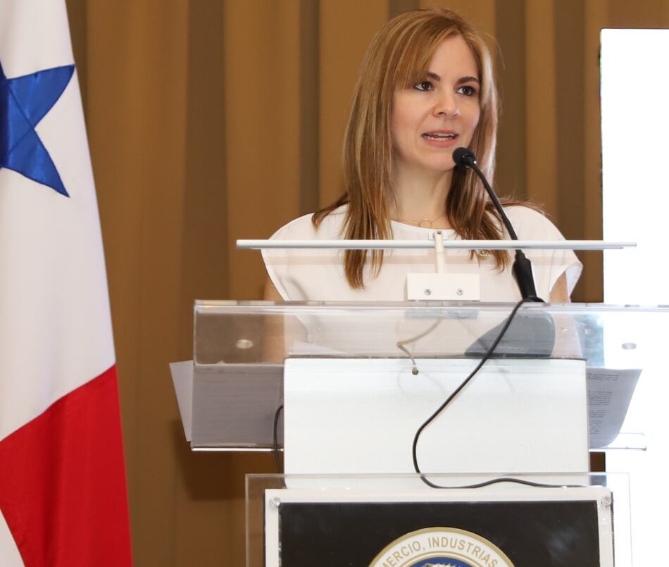 Cámara de Comercio alerta sobre factores que sabotean la inversión extranjera