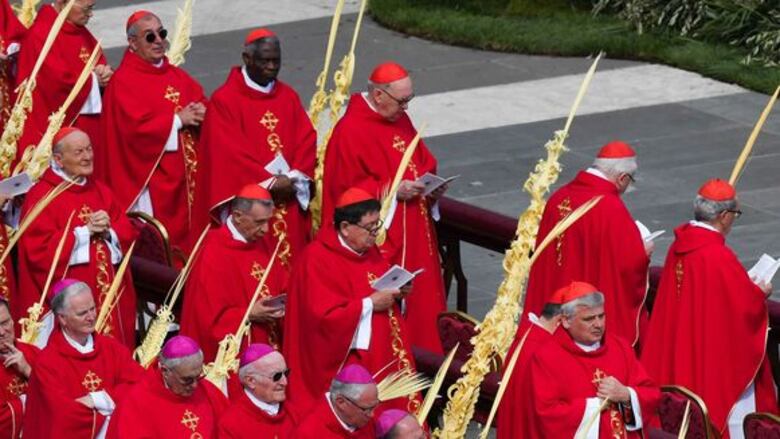 Papa Francisco bendice palmas en comienzo de Semana Santa