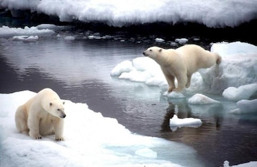 El océano Glacial Ártico marca un nuevo récord de descongelación