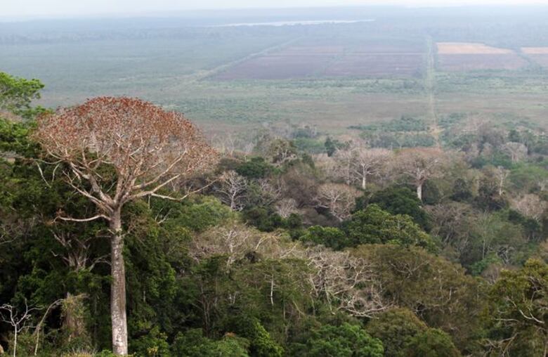 Devastan humedal más grande del país