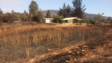 Autoridades judiciales y bomberos establecen protocolos para denuncias de incendios