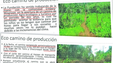 Carretera para fincas aceiteras