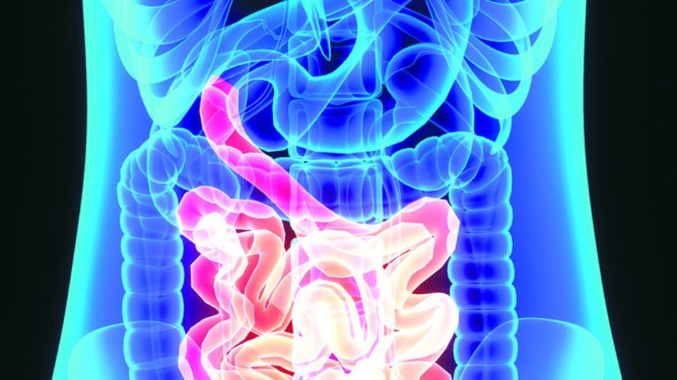 Rol de la flora intestinal en la salud