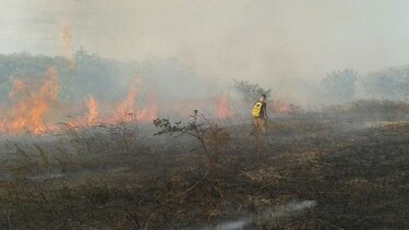 Bomberos: aumentan los casos de incendios forestales en Los Santos