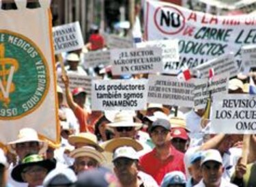 El agro exige políticas claras