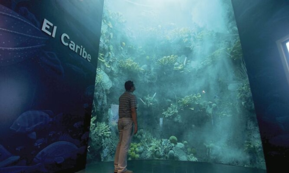 El Biomuseo crece y sigue su renovación