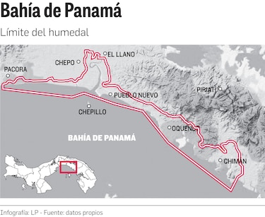 Bahía de Panamá: 200 hectáreas de manglar, en peligro por la expansión de proyectos estatales