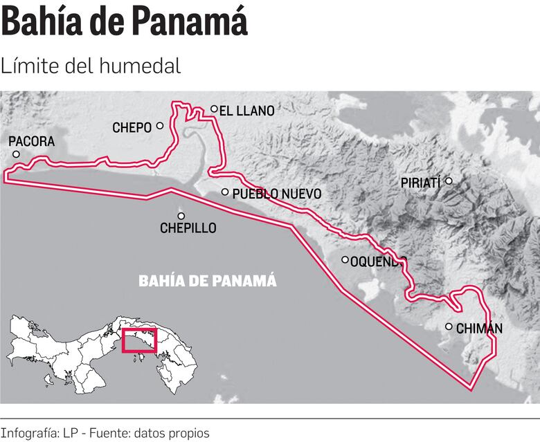 Bahía de Panamá: 200 hectáreas de manglar, en peligro por la expansión de proyectos estatales