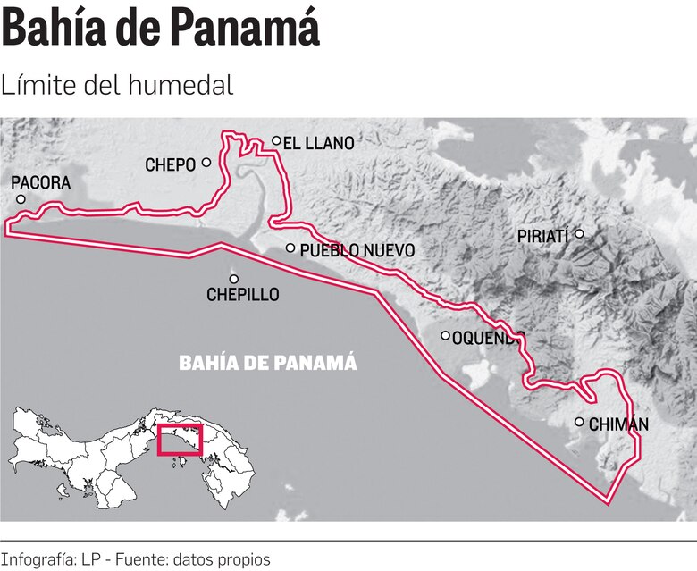 Bahía de Panamá: 200 hectáreas de manglar, en peligro por la expansión de proyectos estatales