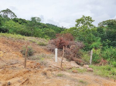 Reviven concesión minera en Veraguas; Idaan advierte de riesgos