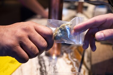 Condenas a 30 años de prisión a jóvenes por consumo de cannabis conmociona a Túnez