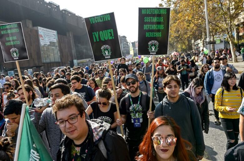 Chile: multitudinaria marcha pide despenalizar autocultivo de marihuana