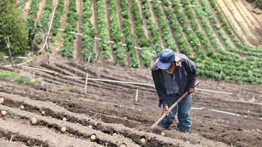 El pago prometido no llega a los productores