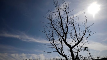 Renuncia una ministra portuguesa tras muertes en incendios