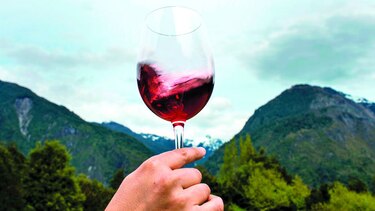 Vinos de la Patagonia chilena